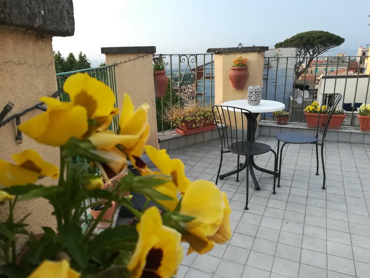 B&B Buonfiglio Cicconcelli - Terrazza Panoramica Frascati